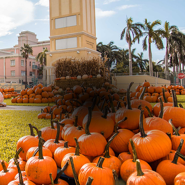 Boca Pumpkin Patch Festival